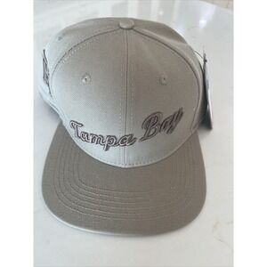 TAMPA BAY RAYS LOGO SNAPBACK HAT Genuine Merchandise Pro Standard NWT Beige‎